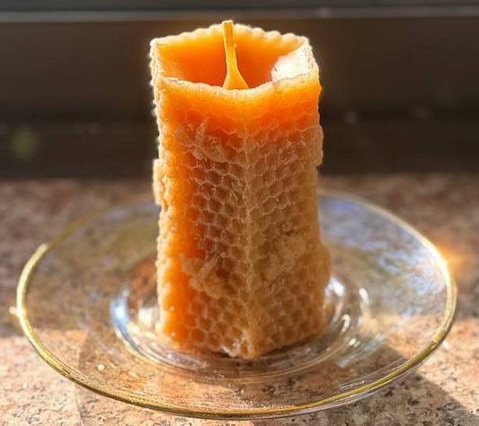Honeycomb Haven Pillar